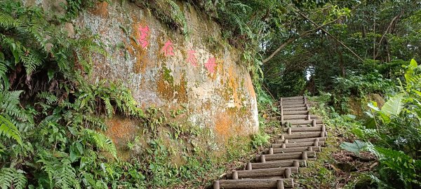 20220521_劍潭山1715691