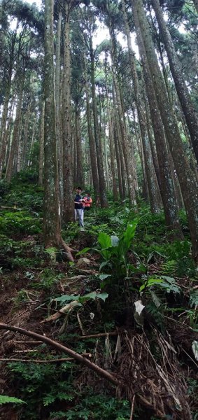 108.09.13新竹油羅山 O型路679738