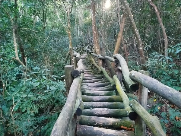 大坑步道全包一起登( 2 3維修)747628