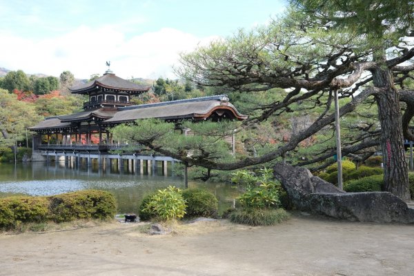 【海外健行】本山妙傳寺-平安神宮(御園)-哲學之道(大豐神社)散策1936066