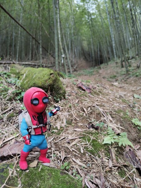 2023.12.27 大溪金面山2839321