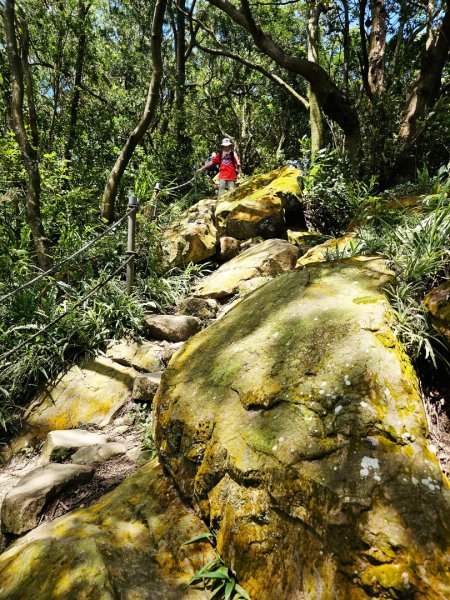 (天上山系)烘爐地土地公-2025微笑山線大縱走尋寶集章任務2863466