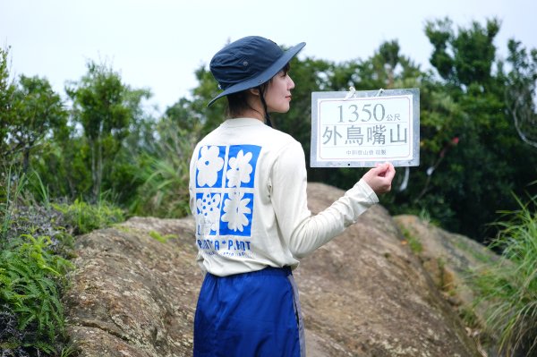 外鳥嘴山3131025