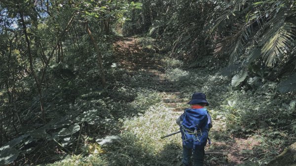 新店柴埕路60巷-烘爐地(南勢角山)1129946