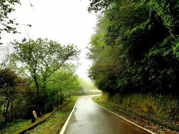 走遍陽明山：大屯山系｜青楓、中正山步道2085923