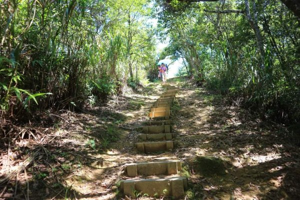 〔石碇〕鱷魚島🐊🐊🐊，晴空萬里下的萌萌淡碇鱷   最美。石碇 千島湖 土虱頭  永安景觀步道2213361