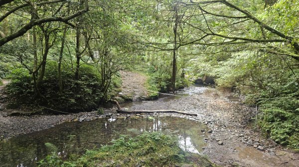 20250703象寮古道-梗枋古道2828904