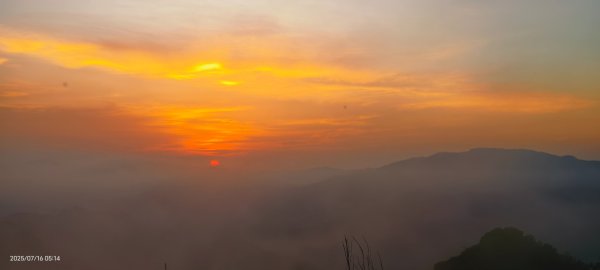 雲山水花鳥蝶-天龍國阿伯的日常 7/162838397