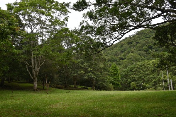 2025_0712 福山植物園2836179