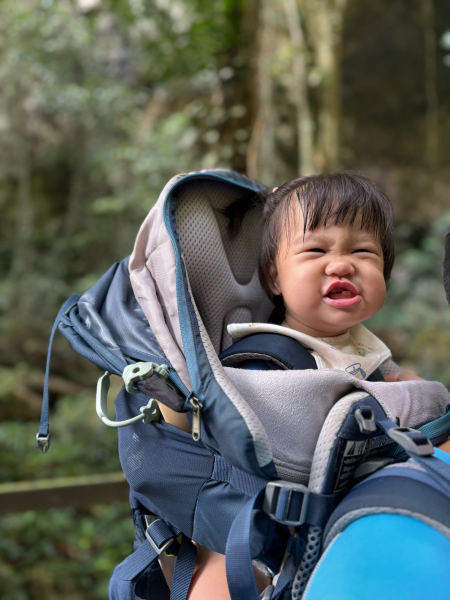 姆魯國家公園親子健行：帶寶寶走進世界級洞穴奇景