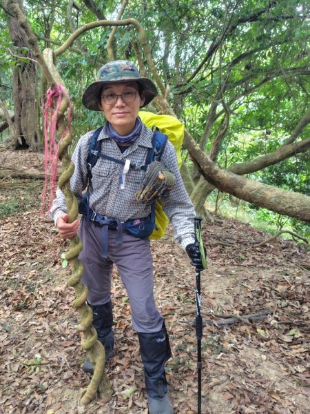 大棟山系南段 水利古道西口 上 竹高崙山 連走 鳥子嶺 坑仔內山 大崖山 下 龍目井農場2953168