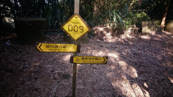 出關古道關刀山步道1584792