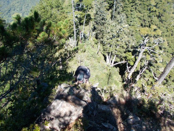 加卑里山縱走黑岩山出觀雲山莊1449966