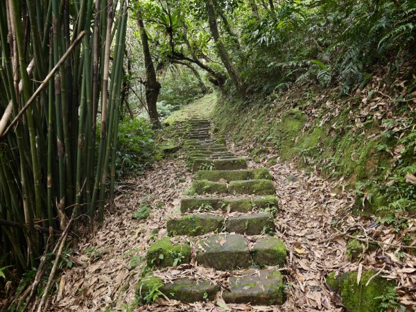 [淡蘭古道] 2026_0531 北路第四段_金字碑古道(下)-金字碑3071095