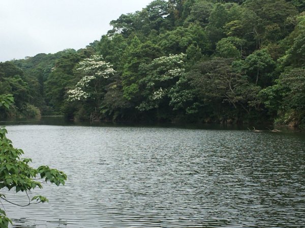 十溪（十一指古道、水中土地公、大艽芎古道、溪石亭、溪洲山、香光山寺⋯2494816