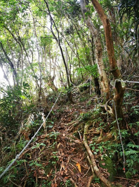 九華山福德宮-平溪子山-台和煤礦-北43鄉道-106縣道2907775