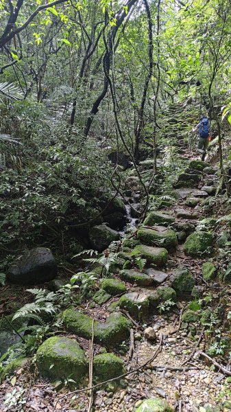 楊廷理古道2814603