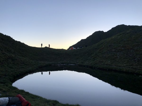 能高。安東軍｜水鹿大軍1120761