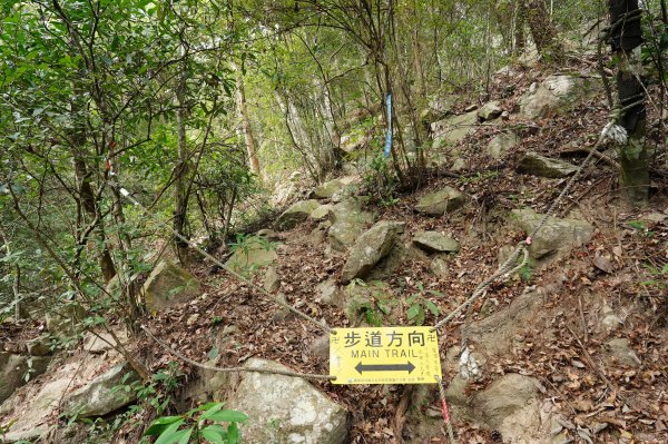 台中 和平 東卯山2674523