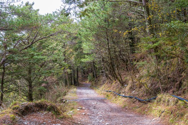 南二段撤退行2743233