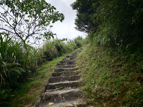 [淡蘭古道] 2026_0531 北路第一段_樹梅坪古道3070647