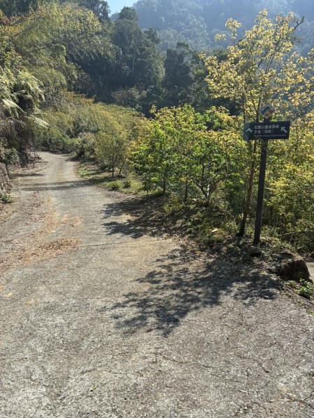 20260322[公車]石壁山&嘉南雲峰3019922