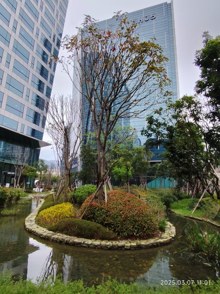 內湖大港墘公園、西湖圖書館、湖光教會、737巷美食街2729387