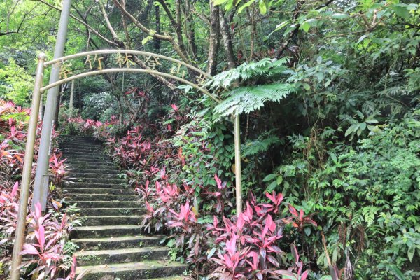 迎日石-外南勢角山-一線天-南勢角山-外挖子山2804490