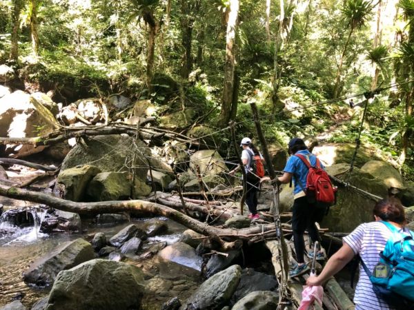 三峽雲森瀑布386459