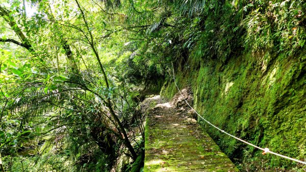 畝畝山。又上說2768138