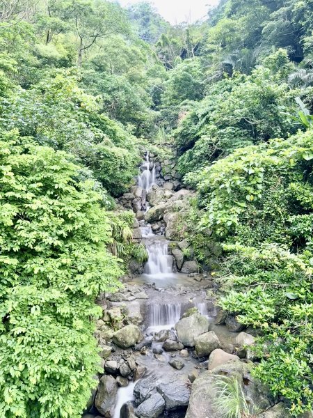 獨立山奉天岩健行趣（雲霧山林間的悠閒時光）   2026.7.303096386