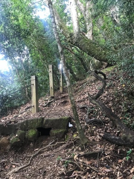 起九芎神木嘉南雲峰.石壁山.好望角432410