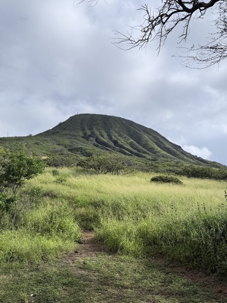 可可角火山口步道及玻里尼西亞文化中心悠遊 2026.2.203012642