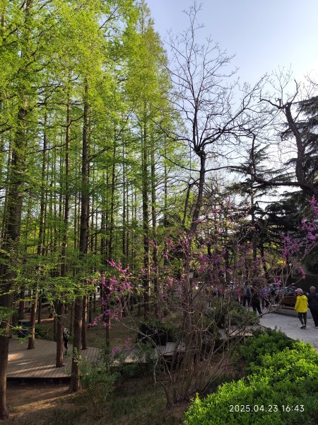 中國山東青島八大關風景區、夜遊嶗山區2777532