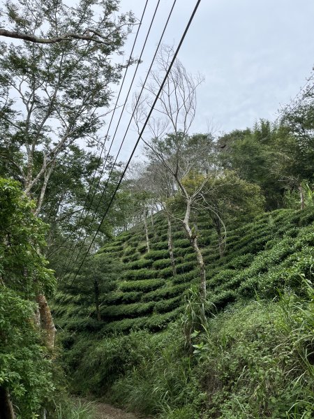 梅峰_竹子尖山2551148