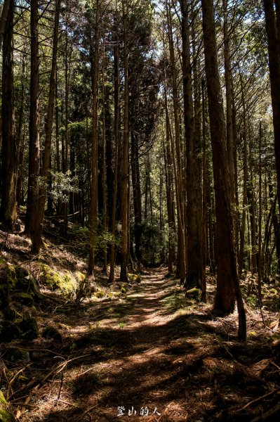 霞山鐵道野營2843129