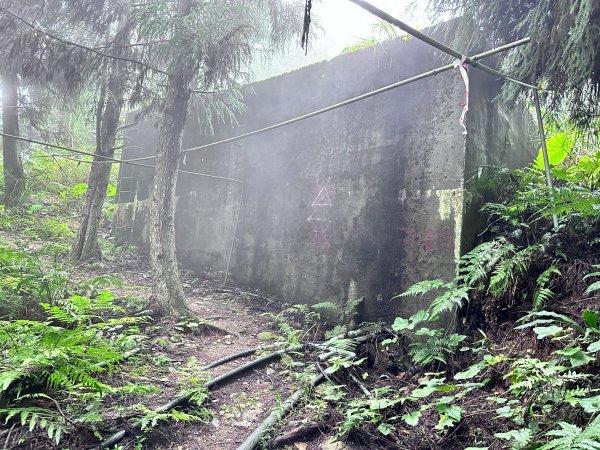 絕美柳杉林民都有山涼爽舒適2604530