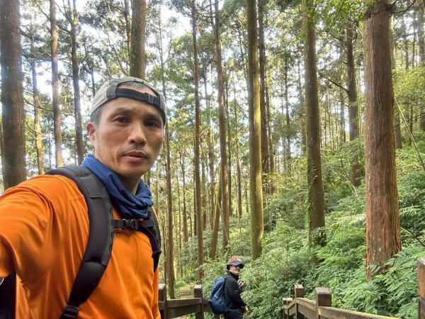 20251029石棹茶、霧、雲、霞、櫻、愛之道 樂野山 霹靂山2926623