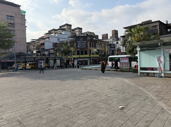 2026_0412 鐘萼木賞花 - 淡蘭國寶樹3035260