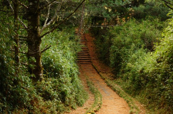 東埔山大草原步道838743