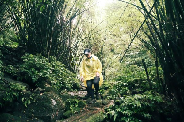 淡蘭古道中路O型988530