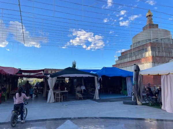 川藏318熱門的卡點-尼瑪-當惹擁措-大地之樹-雅丹地貌聖象天門2905825