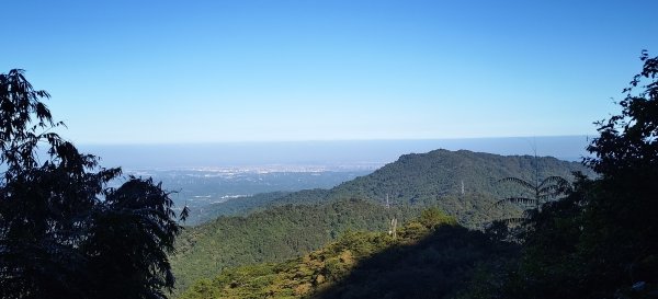 2025/11/22_五指山橫向登山步道+仙洞步道 O型2944189