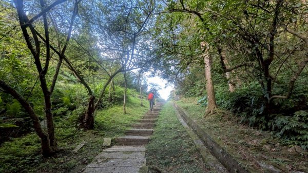 114.06.28內平林山-番子坑山-平湖森林遊樂區之O型2824294