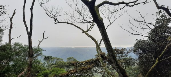 《苗栗》霧雨寒流｜三義三角山步道202512252969209