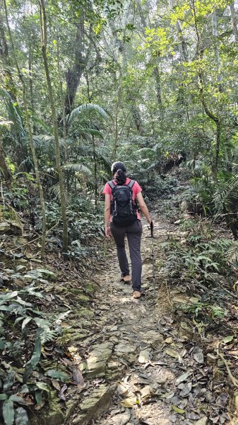 【第19次下山，好煩啊！🤣🤣】魔王小百岳-尾寮山⛰️，我還要繼續走下去嗎?3052362