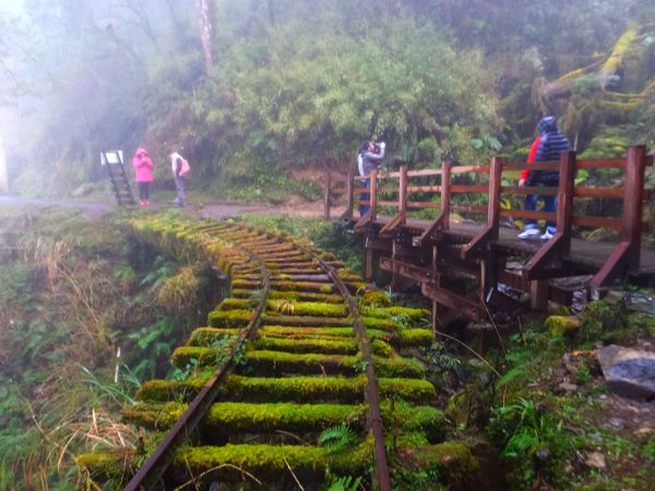 全球最美小路：見晴懷古步道107604