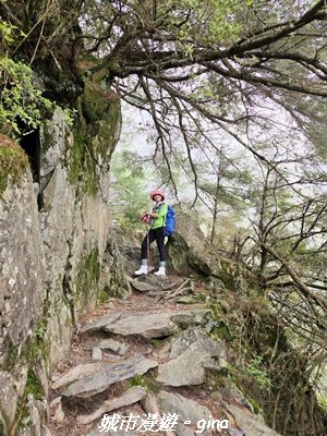 【南投信義】排雲山莊 x#15百岳_玉山西峰3111627