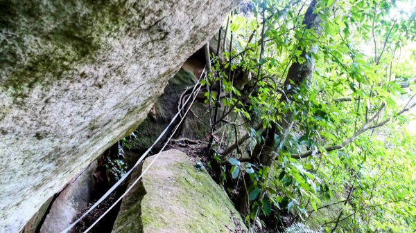 大邱田石門洞2856244