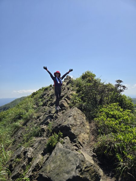 20260426 新北金瓜石半屏山無耳茶壺山3050531